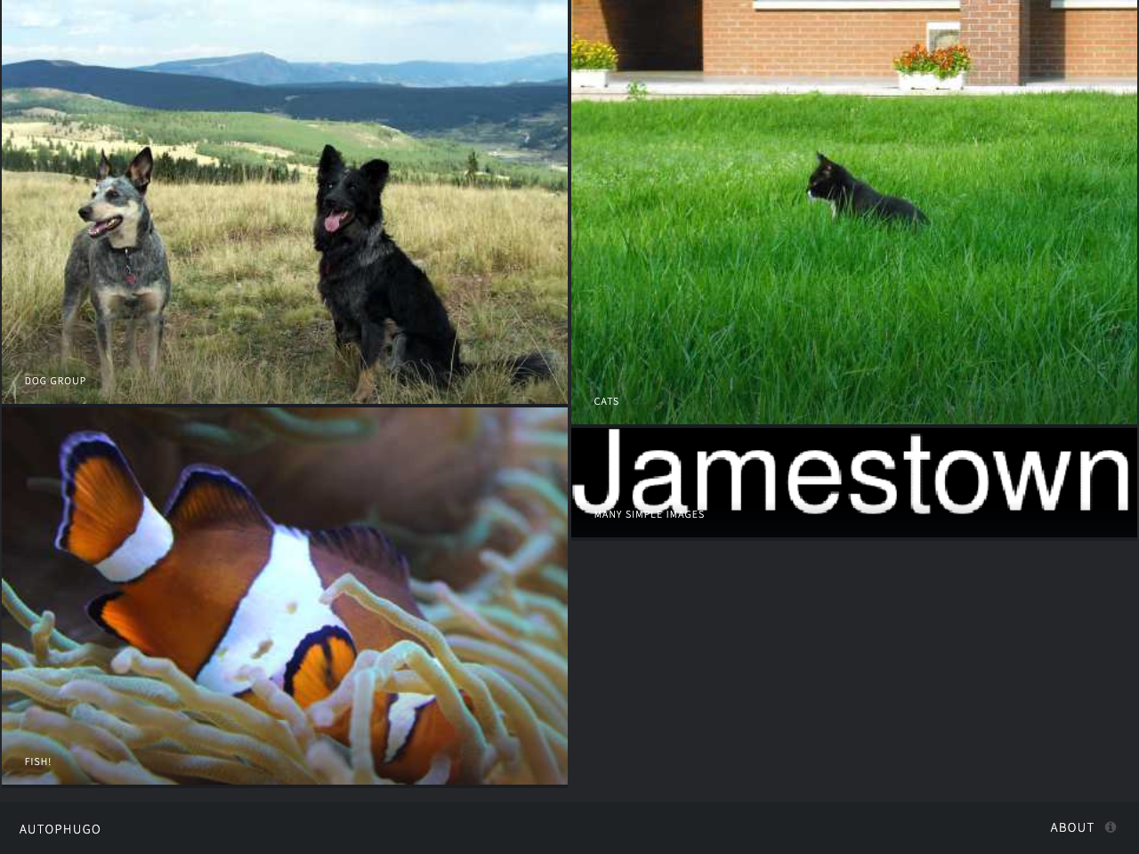 AutoPhugo screenshot