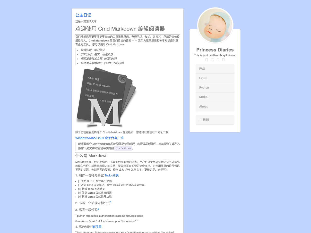 Princess Diaries screenshot